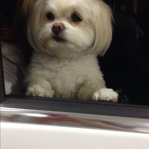 Meet your Posher, Cindy