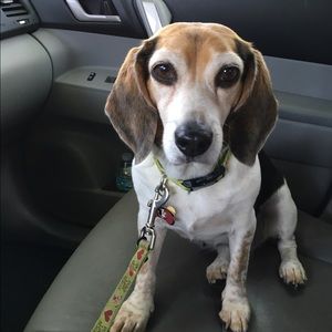 Meet your Posher, Sharon