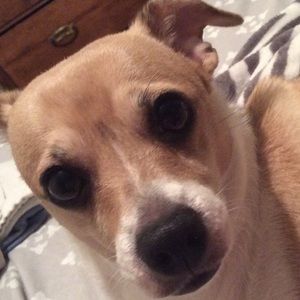 Meet your Posher, Mariah