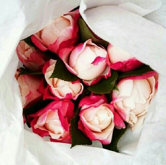 Meet your Posher, Evelin - Picture 1 of 1