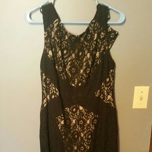 NWT Donna Ricco black lace dress