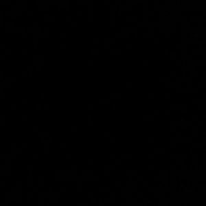 Meet your Posher, Isabella