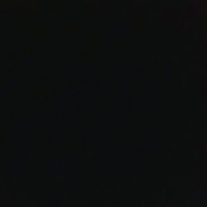 Meet your Posher, Daisy