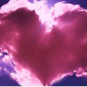 Meet your Posher, Daisy