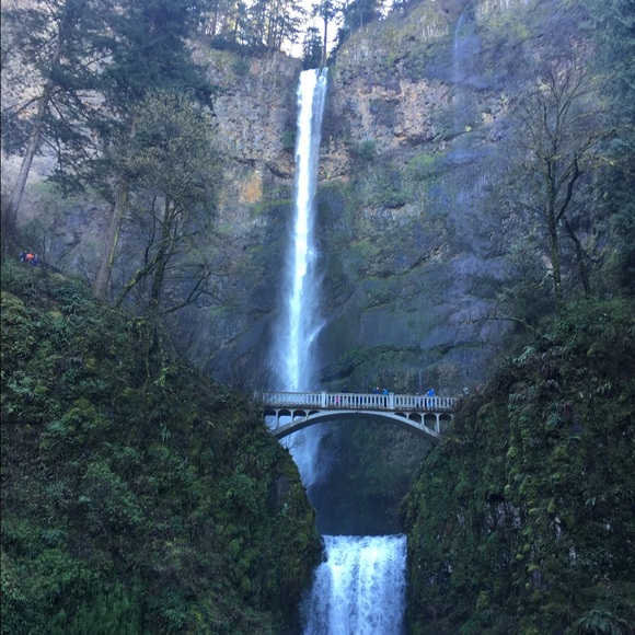 Meet your Posher, Indrani - Picture 1 of 1