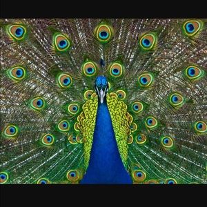 Meet your Posher, Kimberly