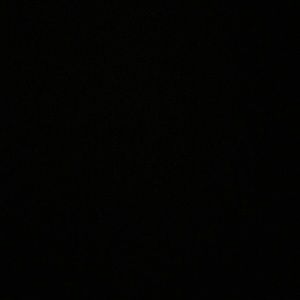 Meet your Posher, Daisy