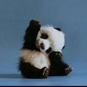 Meet your Posher, Maryjane