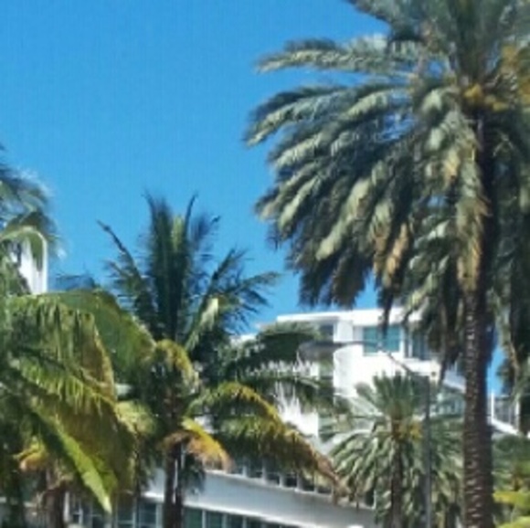 Meet your Posher, Emmie