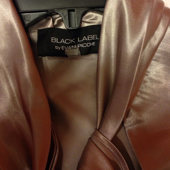 NWT Evan Picone Platinum color top - Picture 3 of 3