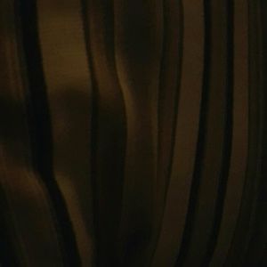 Meet your Posher, Ana