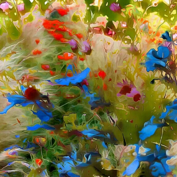 Meet your Posher, Brenda - Picture 1 of 1