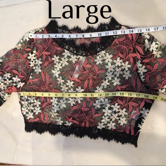 Metallic Embroidered Lace Crop Top - Picture 7 of 7