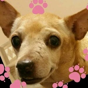 Meet your Posher, Cynthia