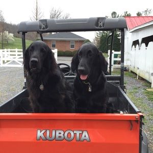 Meet your Posher, Wendy