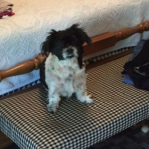 Meet your Posher, Deneal