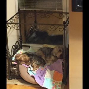 Meet your Posher, Christy