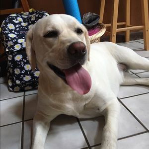 Meet your Posher, Kami