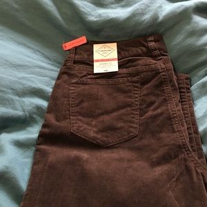 NWT bootcut size 10 chocolate brown corduroy pants