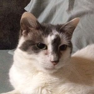 Meet your Posher, Leann