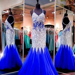 Meet your Posher, Cheyenne