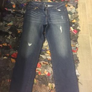 Lane Bryant Genius Fit Deconstructed Straight Leg