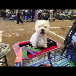 Meet your Posher, Olivia