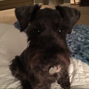 Meet your Posher, Cindy