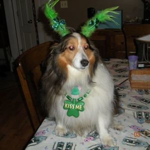 Meet your Posher, Barbara