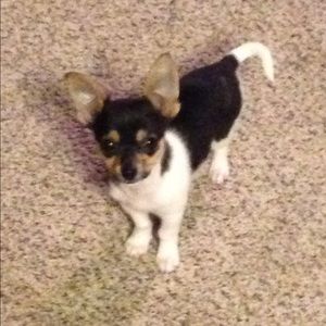 Meet your Posher, Kelsey