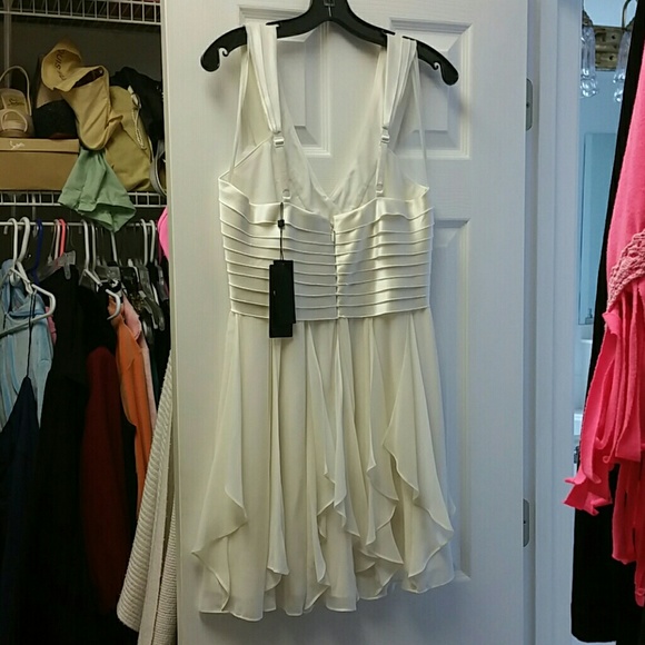 Nwt bcbg zip back tunic/mini dress - Picture 3 of 4