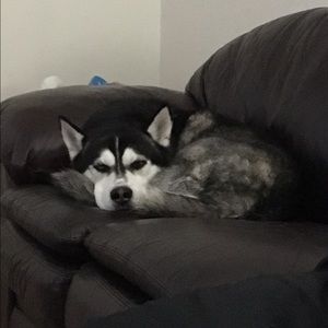 Meet your Posher, Nikki