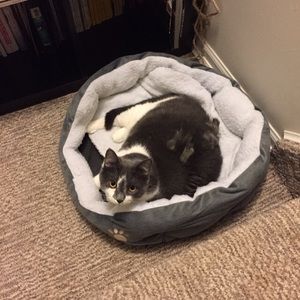 Meet your Posher, Ziru