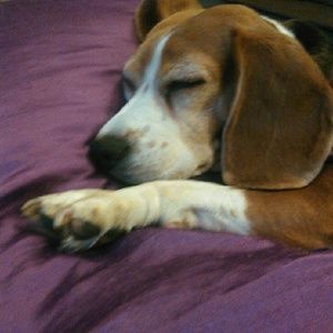 Meet your Posher, Melissa