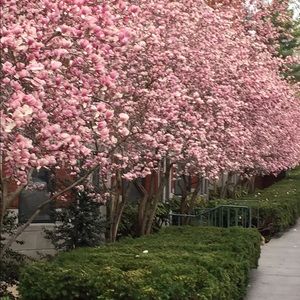 Meet your Posher, Nomeda