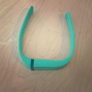 Fitbit wristband size large