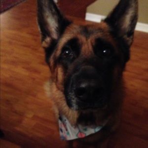 Meet your Posher, Zaleh