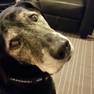 Meet your Posher, Alisha