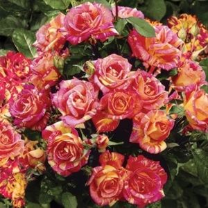 💝 All my items are priced to SELL ! 💝