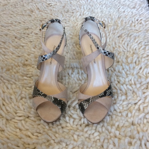 ALEXANDRE BIRMAN Heels Sz 6.5