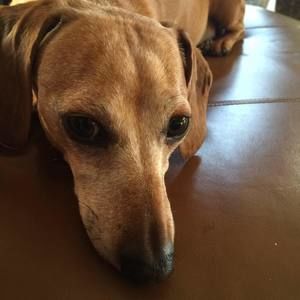 Meet your Posher, Joanne