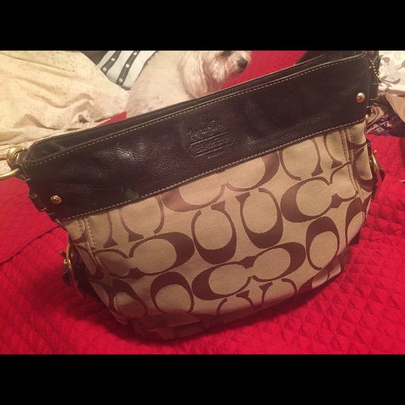 Louis Vuitton, Doony & Burke, DKNY, & Coach - Picture 4 of 4