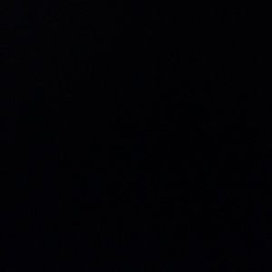 Meet your Posher, Elise