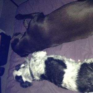 Meet your Posher, Melissa