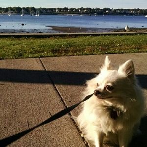 Meet your Posher, Colette