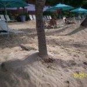 Meet your Posher, Shawn