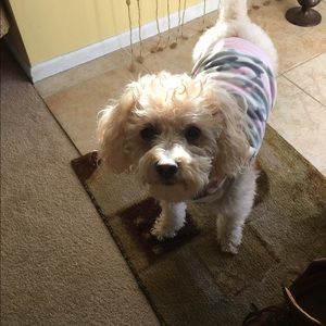 Meet your Posher, Randi