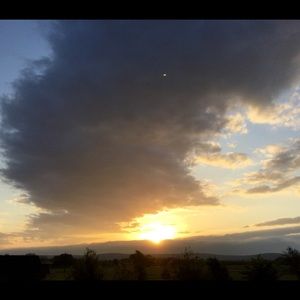 Meet your Posher, Robyn