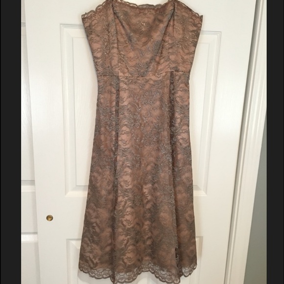 BCBG blush lace cocktail dress