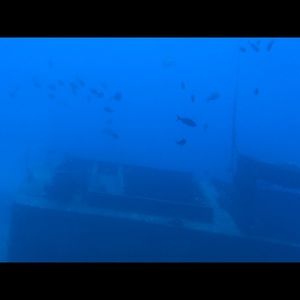 Meet your Posher, Bruce